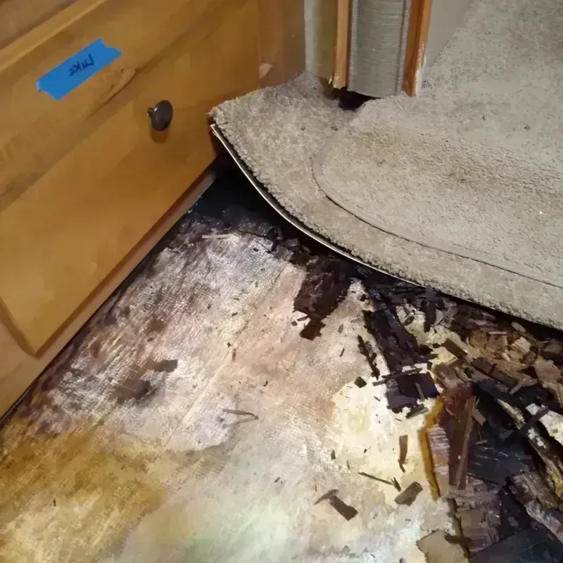 Best Wood Floor Water Damage Service in Clarcona, FL